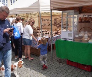 Dni Olsztyna 2025. Dziesiątki wystawców i setki olsztynian na Jarmarku Jakubowym