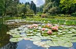 Arboretum w Rogowie