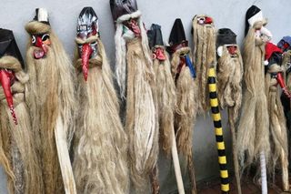 Brodacze ze Sławatycz