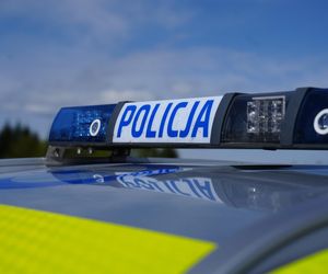 Ponad 20 psów przetrzymywanych w piwnicy? „Żyją w ciemności, wilgoci i brudzie”