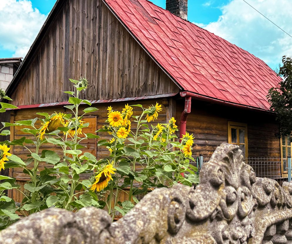Drewniany dom z czerwonym dachem w wiosce Tatry. O urokach Gminy Brody przeczytasz na Eska Starachowice.
