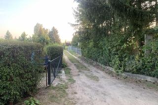 Rodzinne Ogrody Działkowe w Żurczynie (woj. kujawsko-pomorskie)