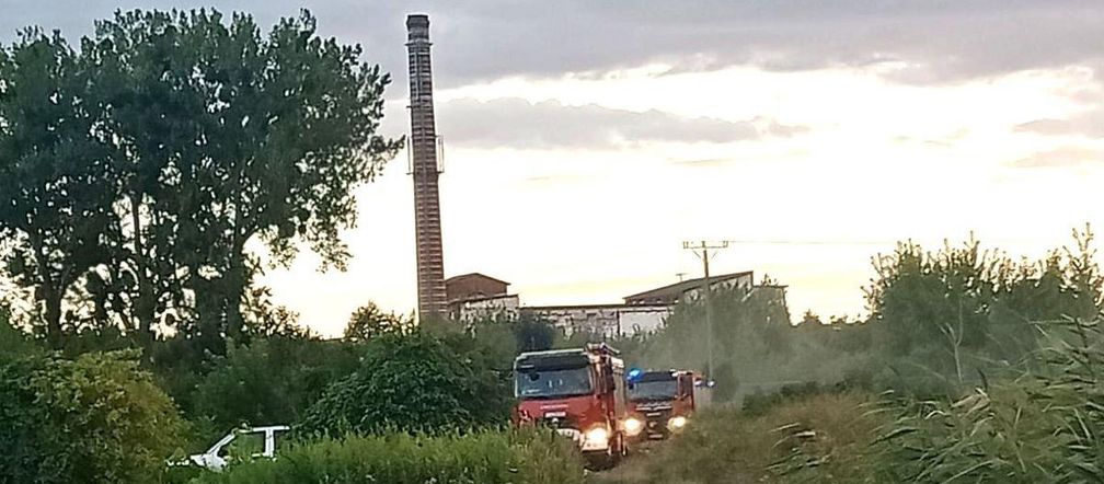 Tragiczny finał poszukiwań w woj. lubelskim. Sprawą zajmuje się policja