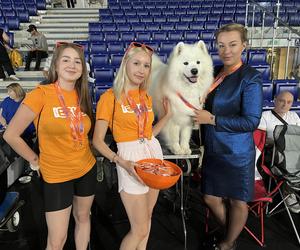 ​XXVII Międzynarodowa Wystawa Psów Rasowych - POMERANIA SHOW