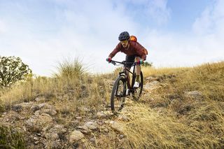 Garmin Rally 110 i Rally 210