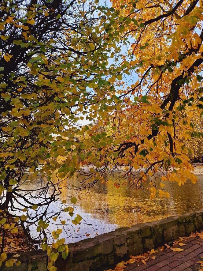 Gdańsk jesienią. Te widoki zapamiętacie na długo. Spójrzcie tylko na te zdjęcia!