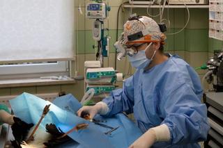 Poskładali skrzydło Kaziowi 