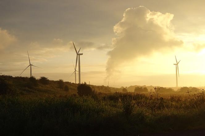 Smog jest bardzo szkodliwy dla zdrowia