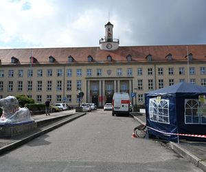 Renowacja koszalińskich lwów