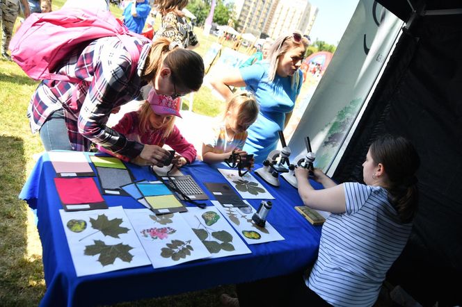 Witaj Lato na Bielanach! Wielkie gwiazdy wystąpią na dzielnicowym pikniku
