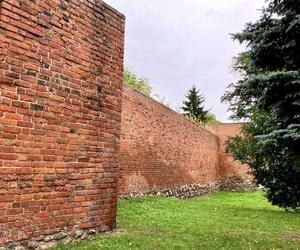 Golub-Dobrzyń, fragment murów obronnych z XIII w.