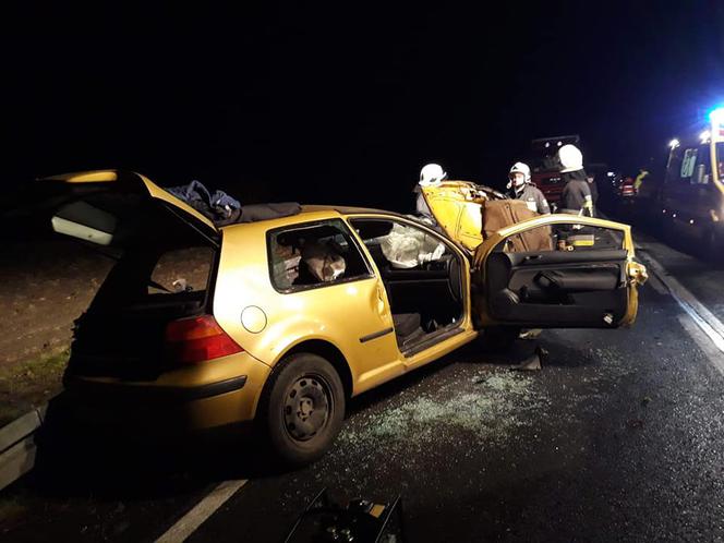 Tragiczny wypadek w Jeziorach Wielkich! Nie żyje młody kierowca! [ZDJĘCIA]