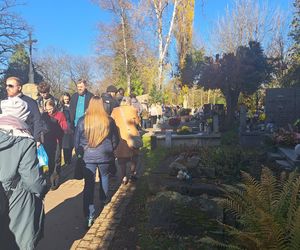 Kwesta na cmentarzu Rakowickim 2025