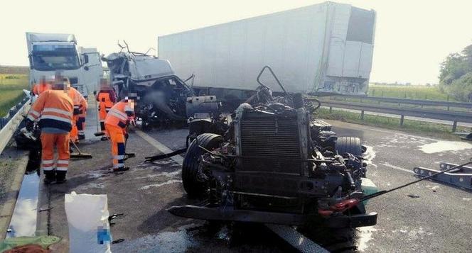 Makabryczny wypadek na S5