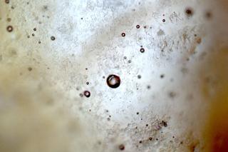 Tłusty czwartek 2023: W AGH przebadali pączki pod… mikroskopem, tomografem i rezonansem. Te zdjęcia robią wrażenie