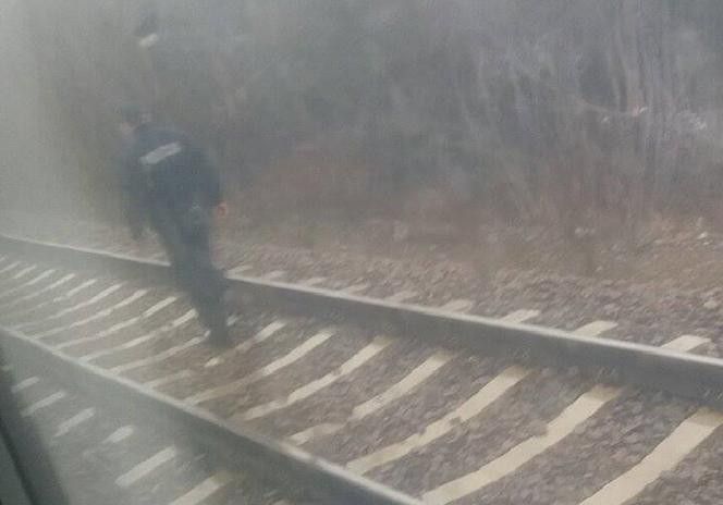 Pociąg śmiertelnie potrącił człowieka w rejonie ul. Meiera
