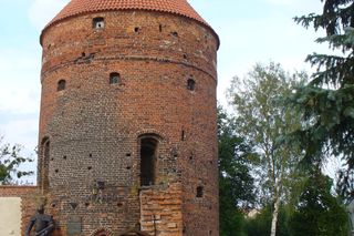 To wyjątkowy symbol miasta pod Olsztynem. Na jego szczycie znajduje się… gniazdo