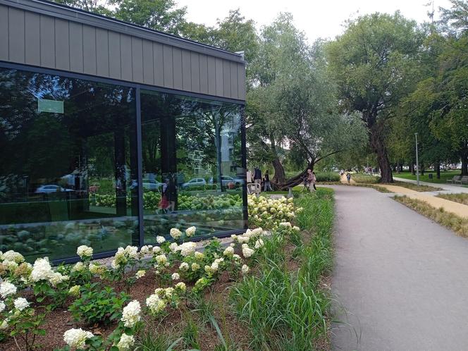 Park centralny w Gdyni. Atrakcje dla dzieci i dorosłych