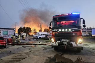 Potężny pożar stolarni w Gnieźnie. Ogromna skala zagrożenia