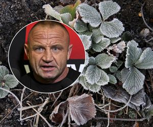  Pudzian załamany! Przymrozki zniszczyły jego sad