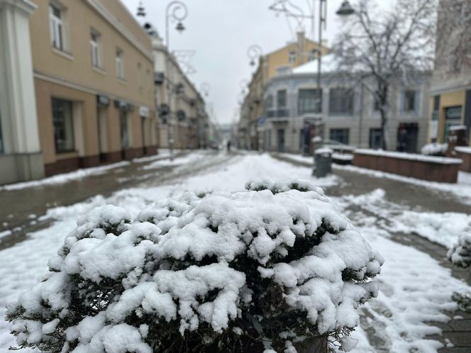 Zima w Świętokrzyskiem . Kielce (22.11.2024)