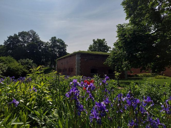 Park Miejski w Zamościu