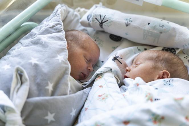 Trojaczki z Zabrza [ZDJĘCIA]