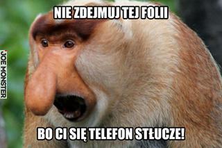 memy z nosaczem