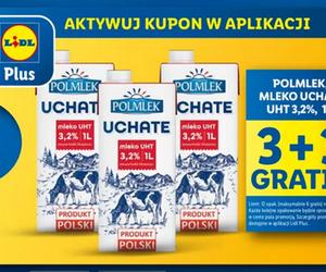 Promocje w Lidlu