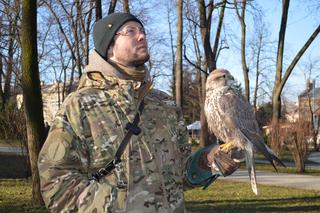 Meja, Atom i Kalisi pilnują porządku w jasielskim parku miejskim