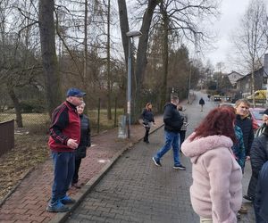 Kontrowersyjna wycinka drzew pod trasę N-Ś w Rudzie Śląskiej. Mieszkańcy: to jest fałszerstwo na duża skalę, to skandal