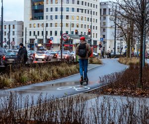 Zielona Marszałkowska między placem Bankowym a ul. Królewską