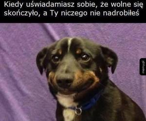 Najlepsze memy przed maturą 2024. Każdy zna to uczucie 