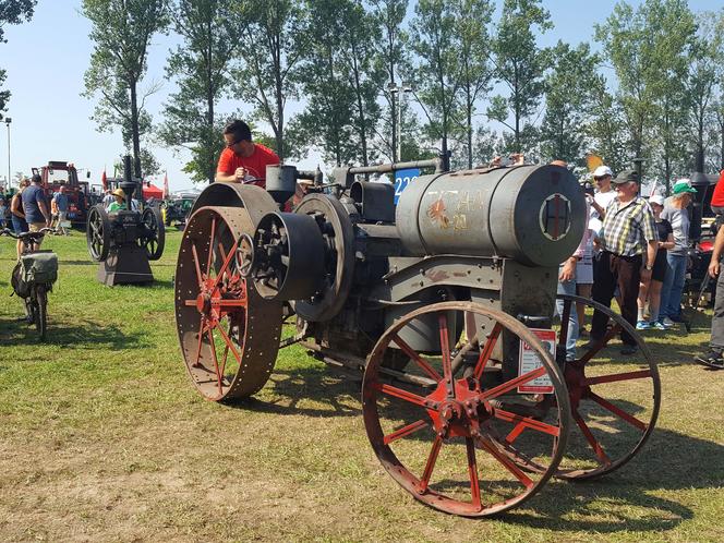 Festiwal starych ciągników w Wilkowicach. Setki maszyn, tysiące widzów i upał