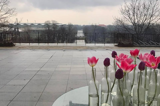 Na dachu, nad wodą czy z kotami? Oto TOP 8 restauracji w niezwykłych miejscach! [GALERIA]