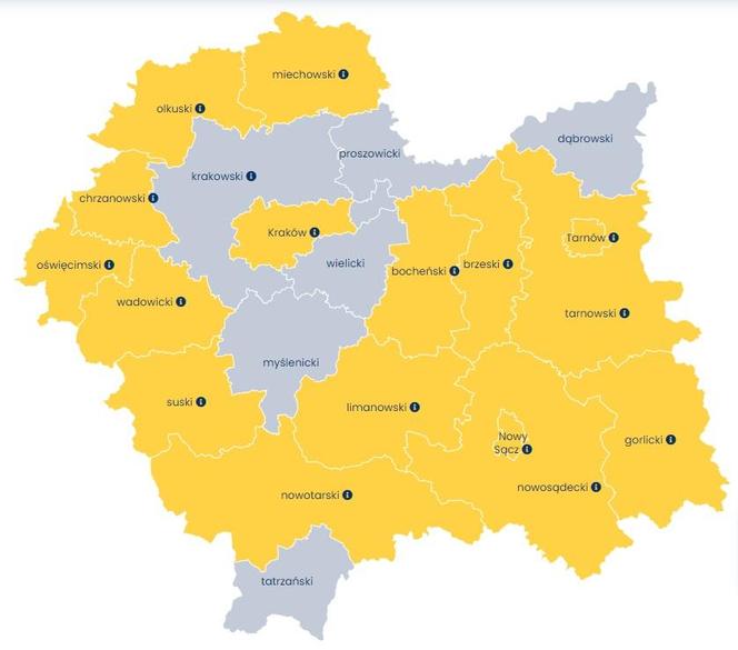 Cieśle i stolarze budowlani