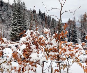 Zakopane zasypane śniegiem