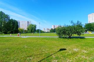 Psie Pole zmieniło się w osiedlowy park