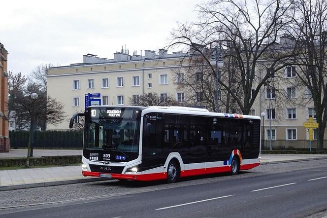 MZDiK w Radomiu podsumował staystyki dotyczące gapowiczów