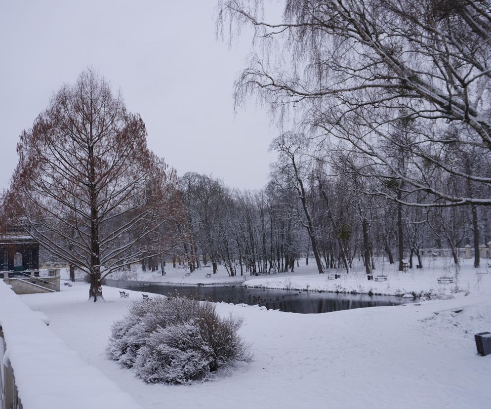 Białystok pod śniegiem. Tak prezentuje się zasypana stolica Podlasia