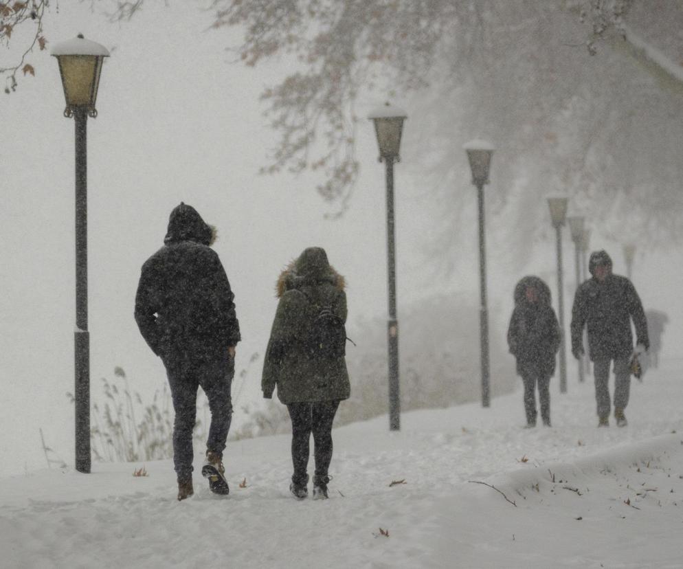 Śnieg, wichury i mróz nawet -8°C. Atak zimy w Polsce. Eksperci bezlitośni [Prognoza IMGW na 18.11.2023] 