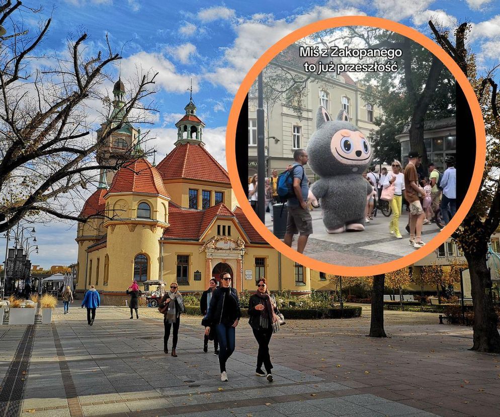 Biały Miś to już przeszłość. Nowa maskotka to hit!