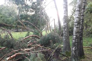 Rolnicy. Podlasie. Maciej z Kundzicz liczy straty. Wichura spustoszyła mu farmę