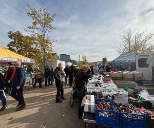 Tutaj przychodzą tłumy. Zestawienie popularnych targów i giełd w Poznaniu [GALERIA]