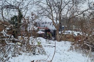 Pożar na działkach w Zielonej Górze