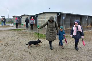 Bieg z seniorkiem - akcja schroniska w Hnerykowie dla podopiecznych psów