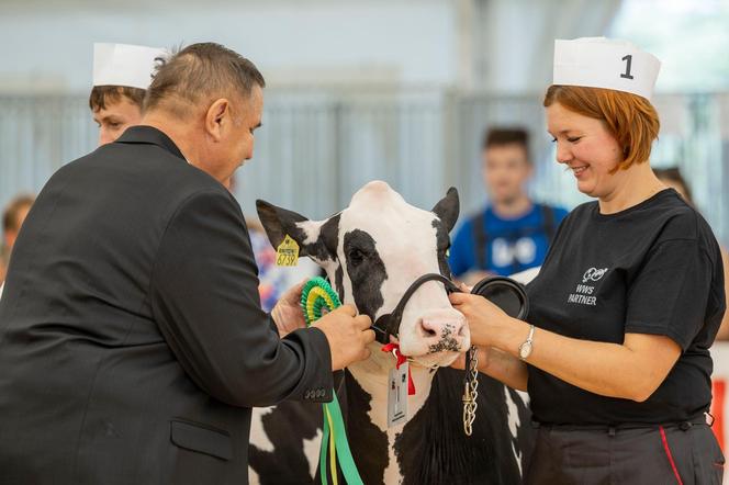 Jesienne Targi Rolnicze w Gryźlinach 2024. Wydarzenie przyciągnęło tłumy. Zobacz zdjęcia