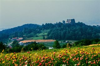 Ruiny Zamku Kamieniec na Podkarpaciu
