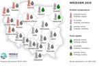 Pogoda długoterminowa IMGW na jesień 2025