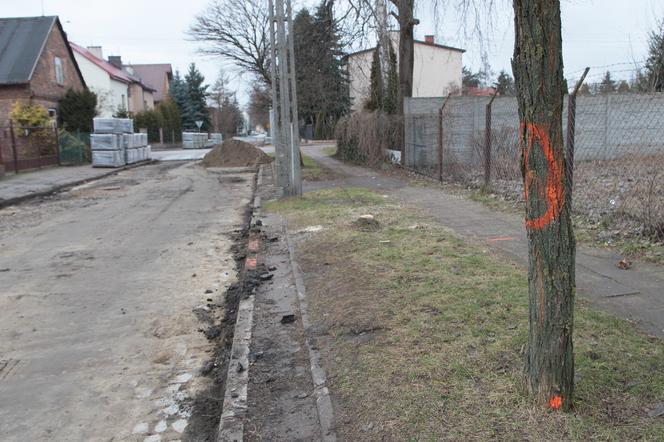  W Wołominie wycinają drzewa na potęgę! Mieszkańcy są wściekli